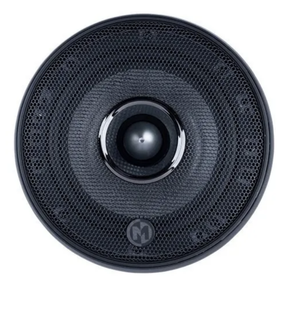 MS60